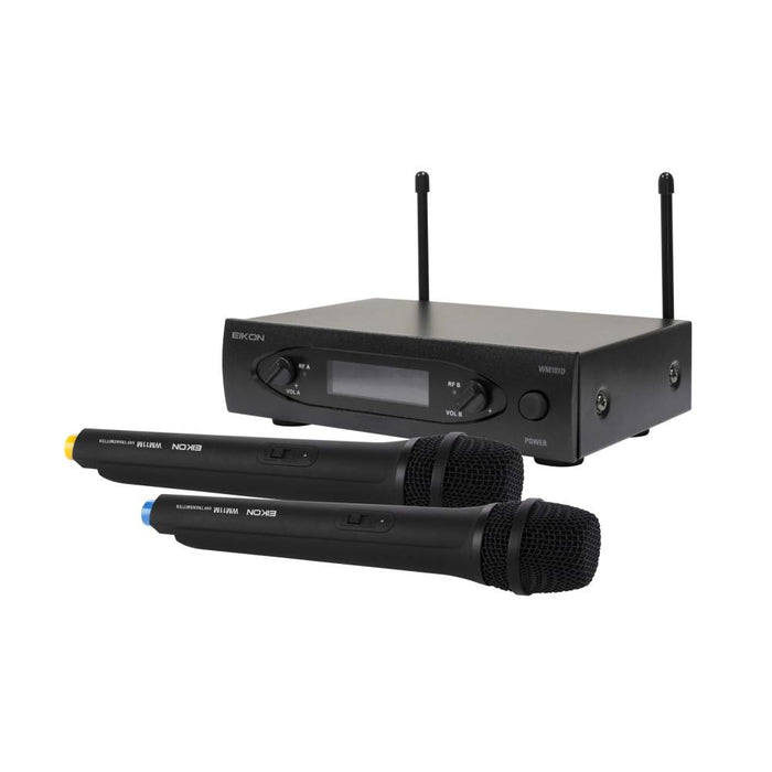WM101DMV2