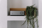 Vibelink Amp