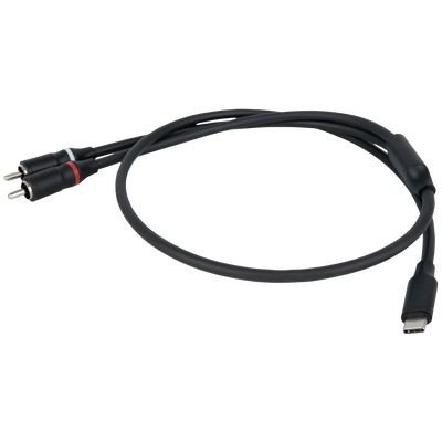 FL110 - Da USB-C a 2 RCA - maschio
