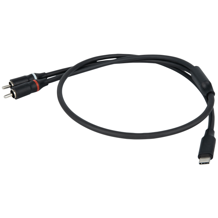 FL110 - Da USB-C a 2 RCA - maschio
